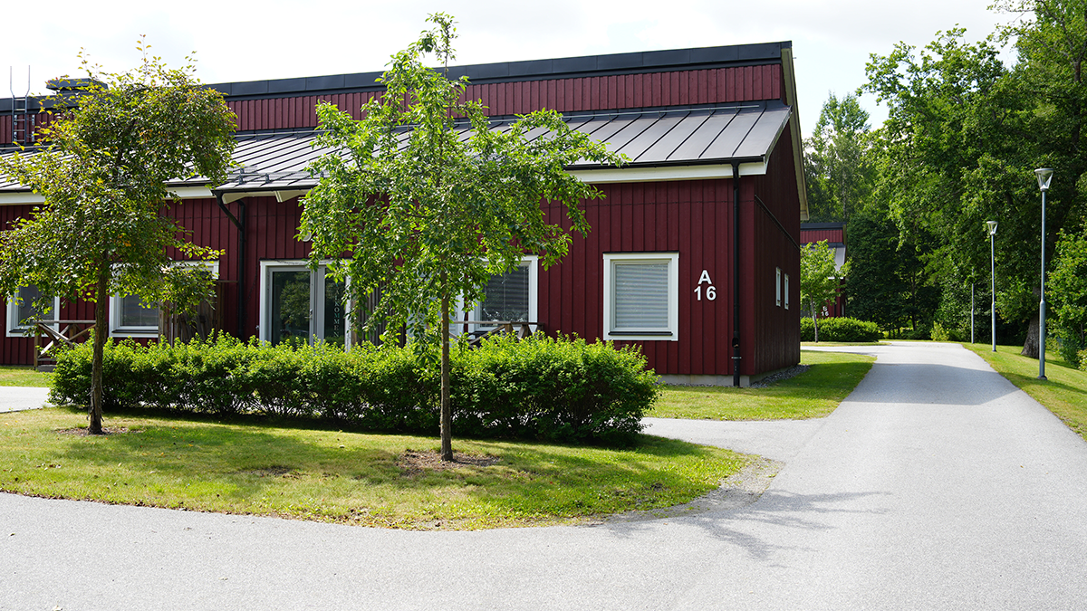 En röd huslänga på sommaren. 
