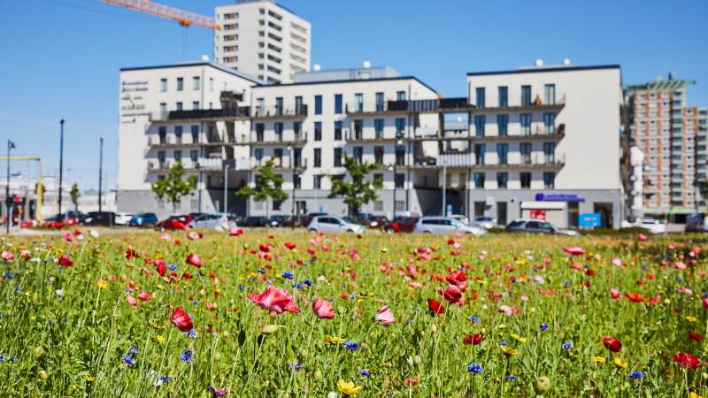 Huset Blicken och husen runt Poseidons torg längs Eskilsstråket i Handen. Huset Blicken och husen runt Poseidons torg med blommande äng och lyftkran längs med Eskilsstråket i Handen.