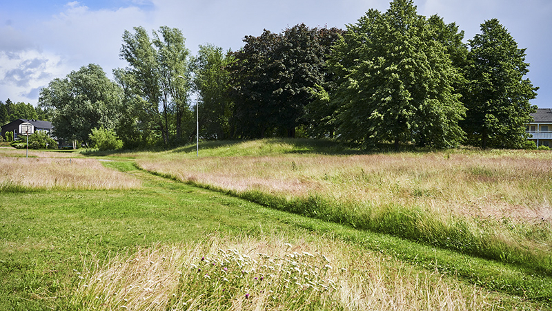 Uppklippt stig i högt gräs
