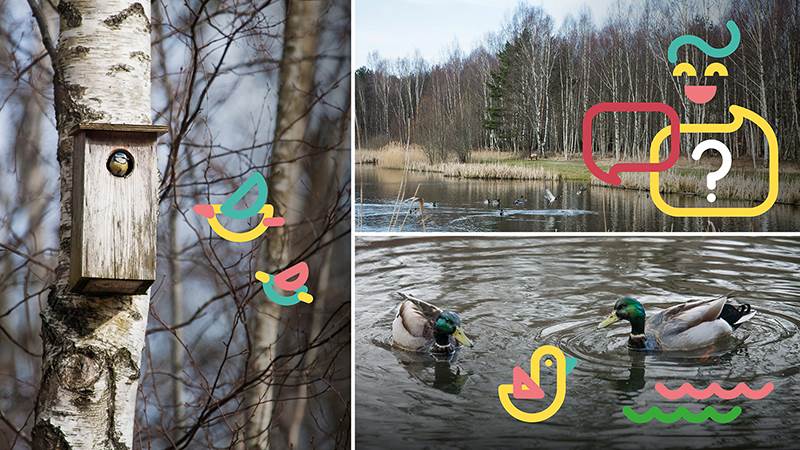 Konceptbild för Nyfiken park och lek Konceptbild för Nyfiken park