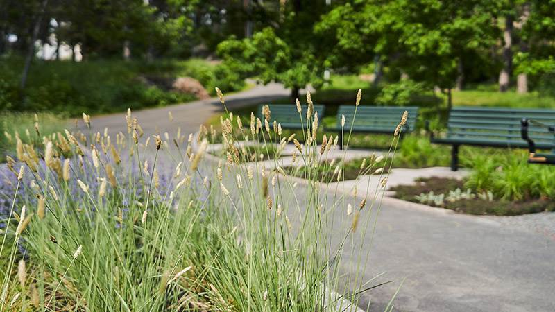 Kulturhusparken i Handen Kulturhusparken i Handen
