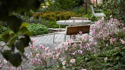 Fribordsgränds gröna stråk i Vega. Sittplats omgiven av rosa blommor och grön växtlighet