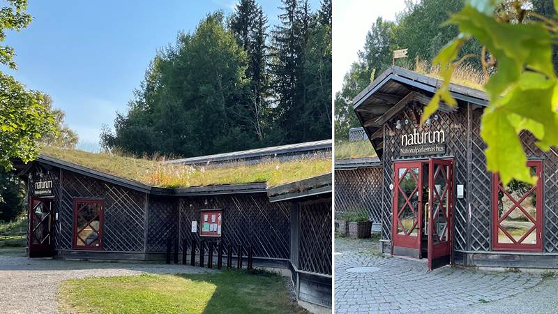 Collage Naturum i Tyresta by