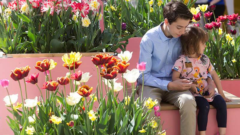 Pojke och flicka sitter på en bänk bland blommande tulpaner