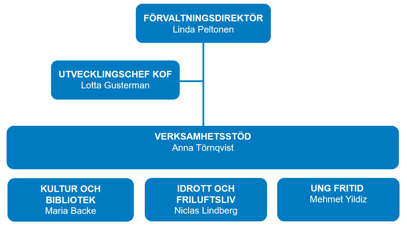 Organisationsschema med direktör, utvecklingschef och fyra avdelningar.