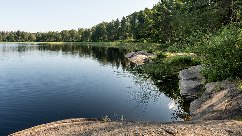 Liten badplats i skogen