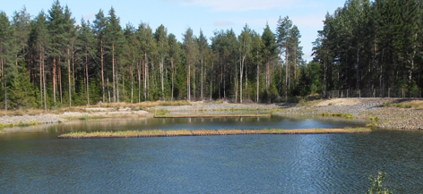 Våtmarker i Albyberg