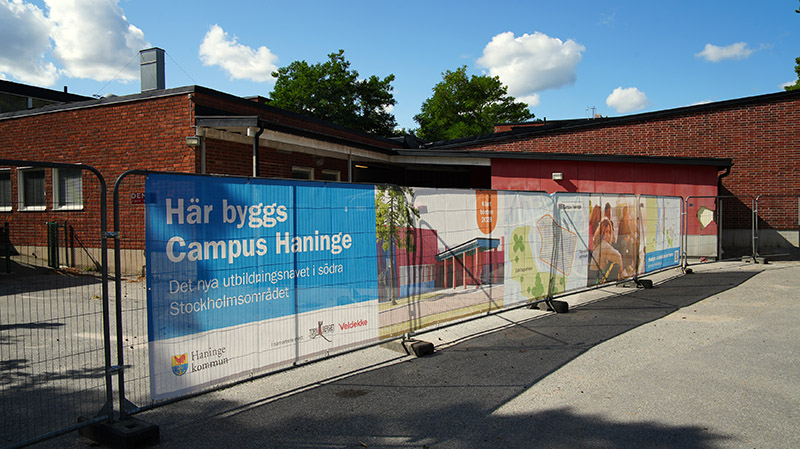 Vepa längs ett byggstängsel
