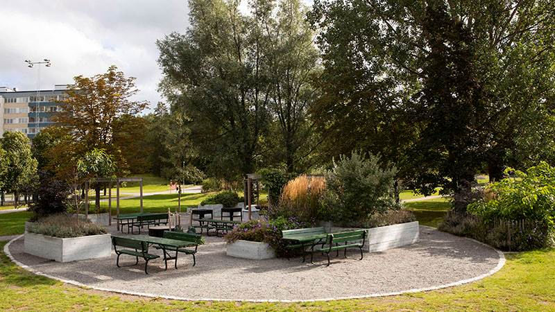 Köksträdgården i Jordbro är vinnare av Haninge arkitekturpris 2023. Köksträdgården i Jordbro med blommor, ätbara växter och hus i bakgrunden.