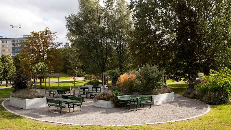 Köksträdgården i Jordbro är vinnare av Haninge arkitekturpris 2023. Köksträdgården i Jordbro med blommor, ätbara växter och hus i bakgrunden.