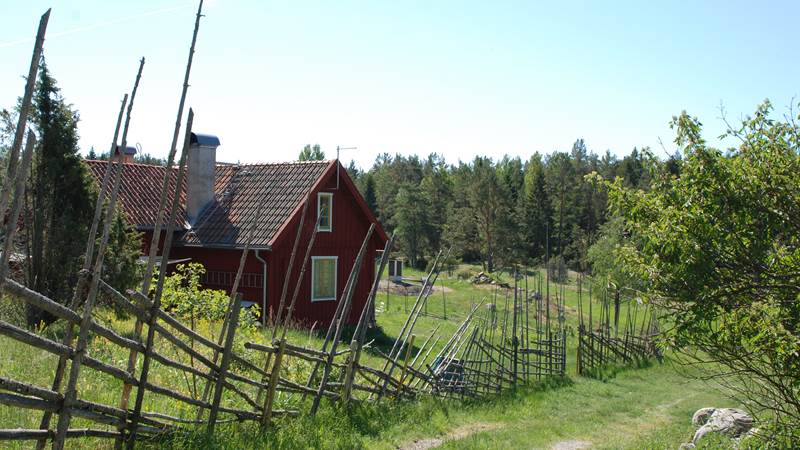 En röd stuga längs en landsväg på Ornö