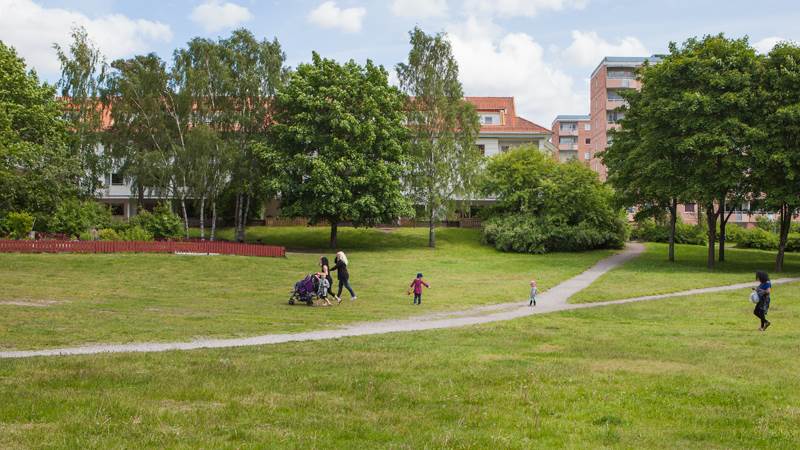 Brandbergsparken Brandbergsparken