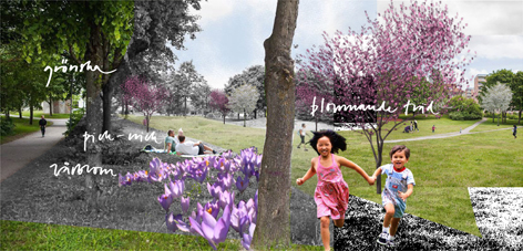 Bildmontage för Brandbergsparken, av Tina Henning Wedemeier, Ramböll Sverige AB.