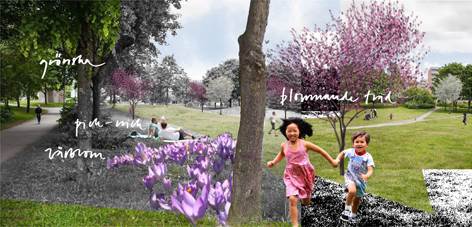 Bildmontage för Brandbergsparken, av Tina Henning Wedemeier, Ramböll Sverige AB. Bildmontage för Brandbergsparken, av Tina Henning Wedemeier, Ramböll Sverige AB.