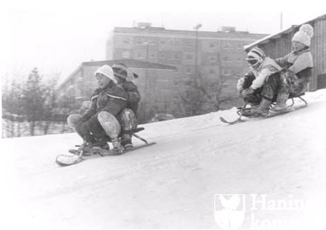 Pulkaåkning i Brandbergen. Bild från Haningearkivet. Pulkaåkning i Brandbergen. Bild från Haningearkivet.