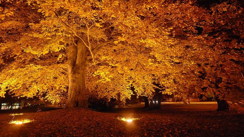 Centrumparken, Haninge Centrumparken, Haninge