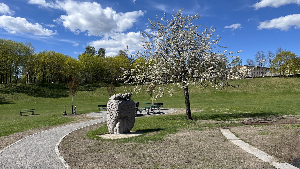 Ett blommande träd i en grön park