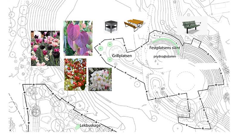 Eskilsparken byggs om för grillning, umgänge och vila vid prydnadsdamm Kartskiss som visar planerna för ombyggnation av området kring dammen och amfiteatern  i Eskilsparken