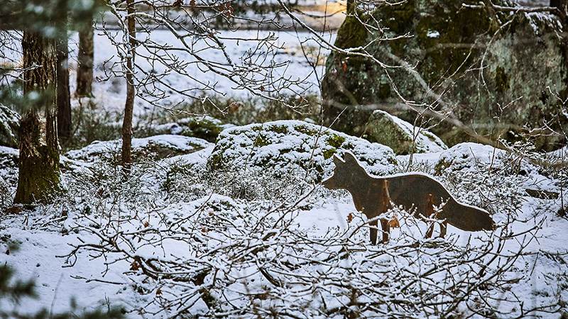 Räv i kortenplåt i djursafari i Höglundaparken Jordbro