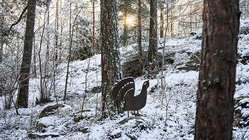 Tjäder i kortenplåt i djursafarit i Höglundaparken Jordbro