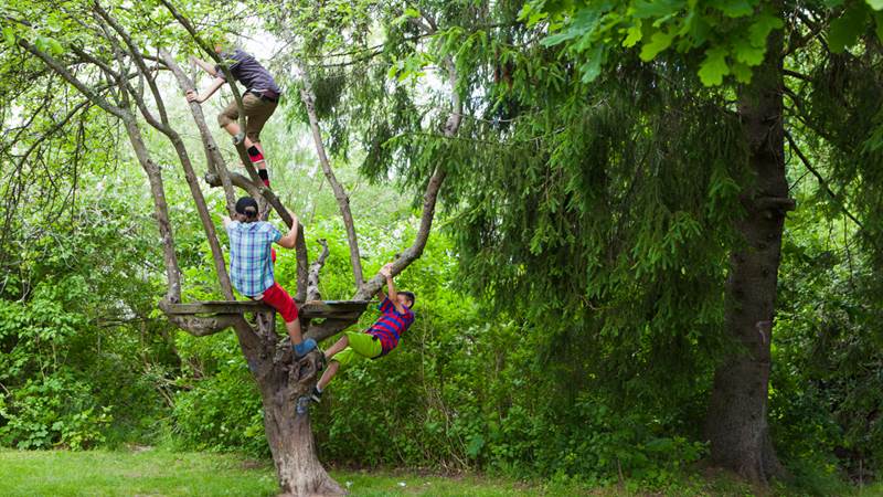 Tungelsta trädgårdspark Tungelsta trädgårdspark