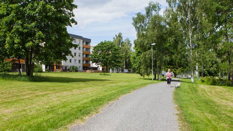 Sågenparken Bild på grönska