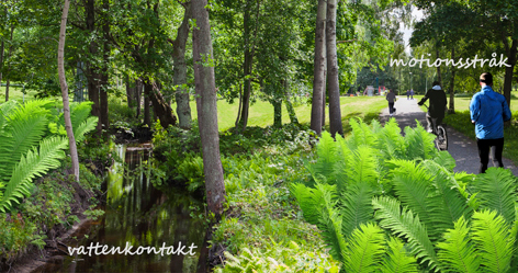 Bildmontage Sågenparken
