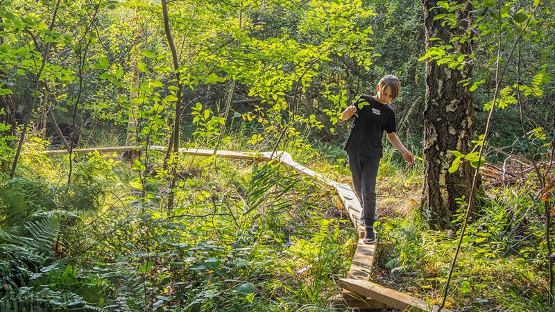 Pojke som balanserar på en spång i en grön skog