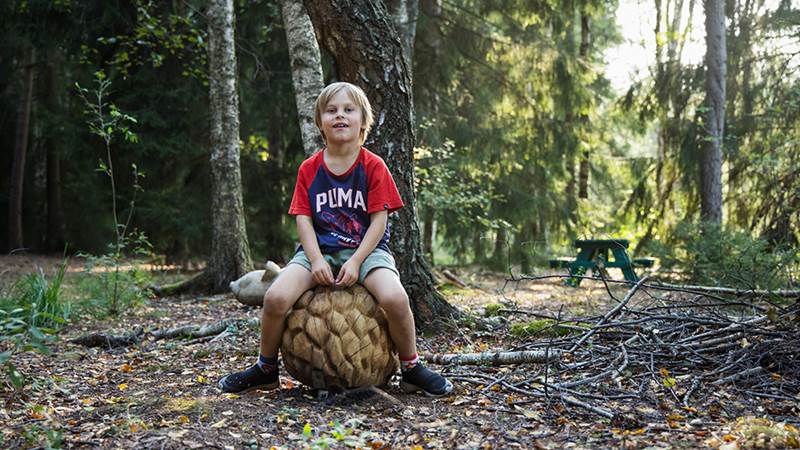 Pojke sitter på en träfigur