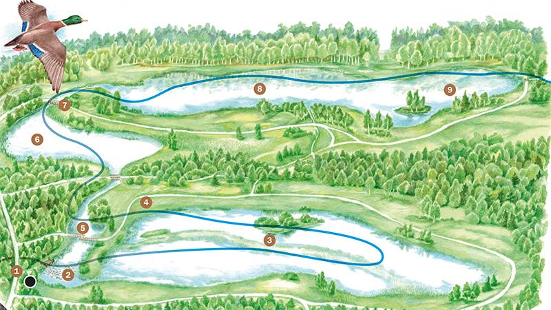 Illustration över dagvattendammen i Slätmossens naturpark Illustration över dagvattendammen i Slätmossens naturpark