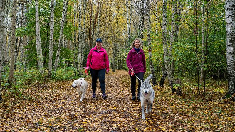Två kvinnor med hundar på promenad i Slätmossens naturområde