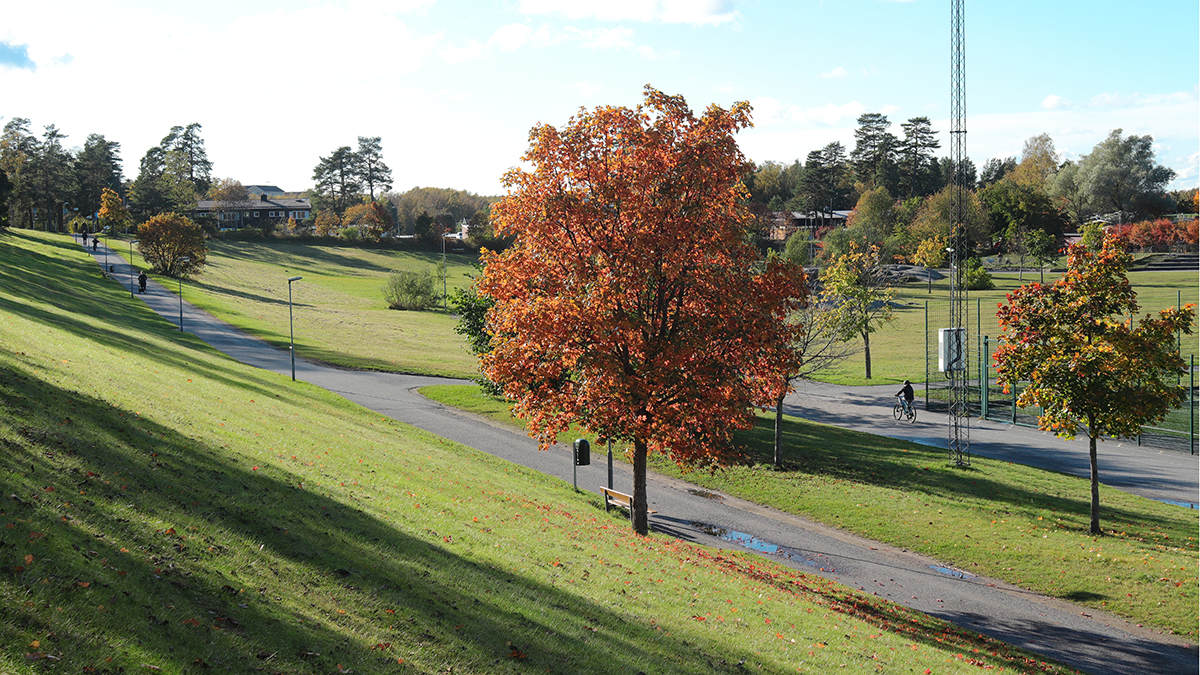 Gång- och cykelväg som leder genom en grön park
