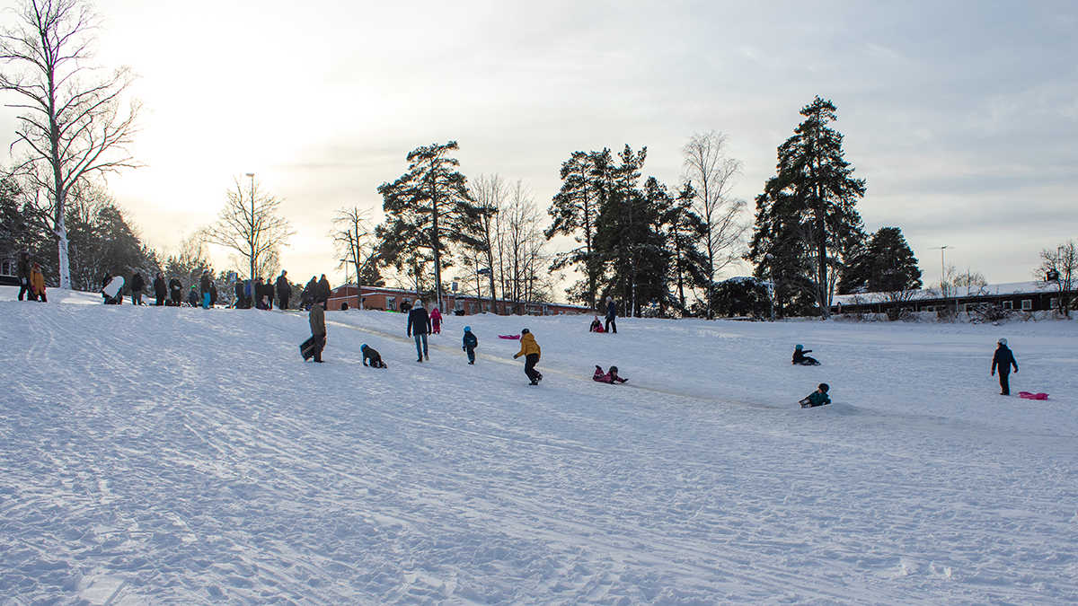 Pulkabacke med barn som åker