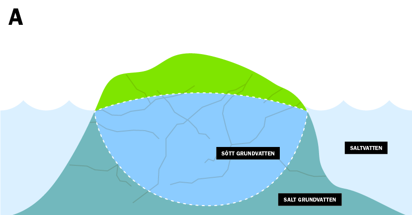 Saltvatteninträngning illustration A