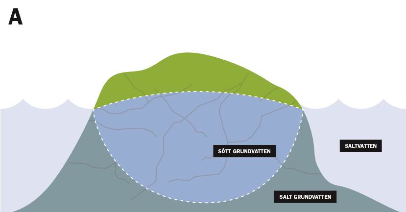 Saltvatteninträngning illustration A