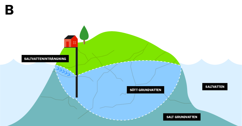 Saltvatteninträngning illustration B