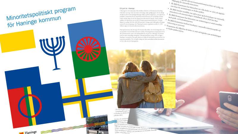 Vähemmistöpoliittinen ohjelma Vähemmistöpoliittinen ohjelma