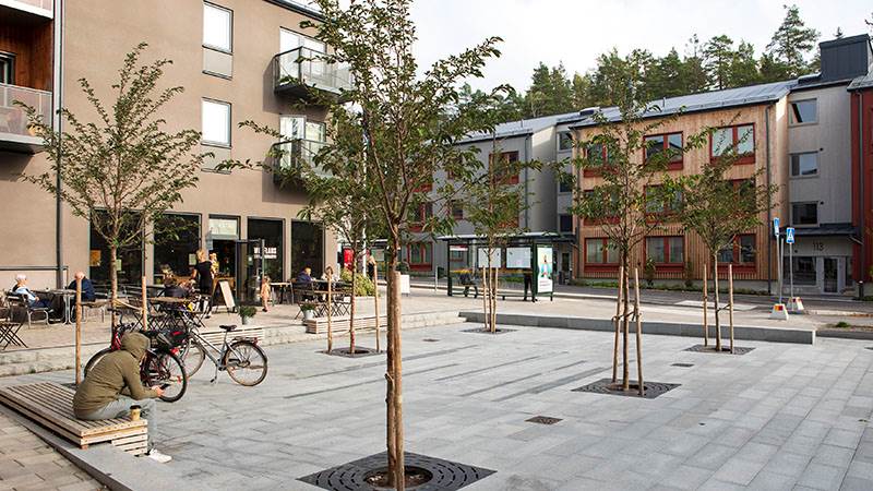 Torget vid Vega allé. Torget vid Vega allé