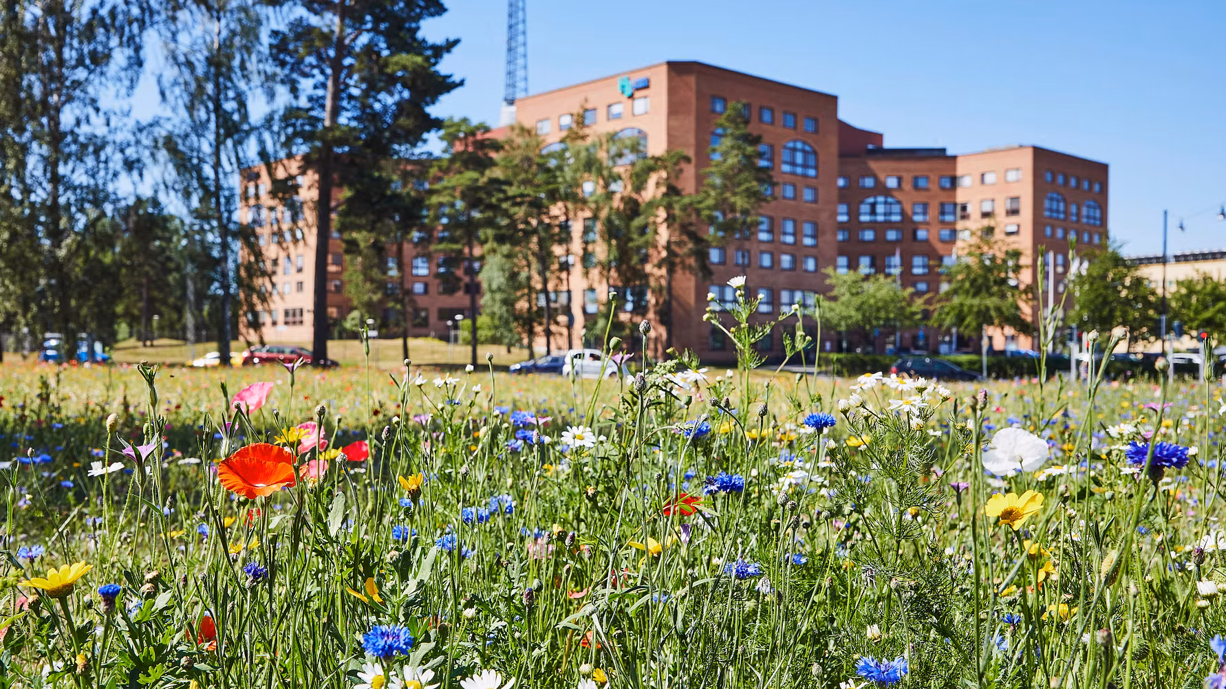 I förgrunden blomsteräng med blommor i olika färger, i bakgrunden kommunhuset