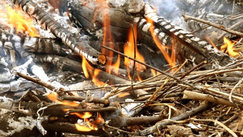 Trädgårdsavfall eldas.