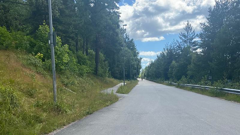 Gång- och cykelväg med grönska runt omkring