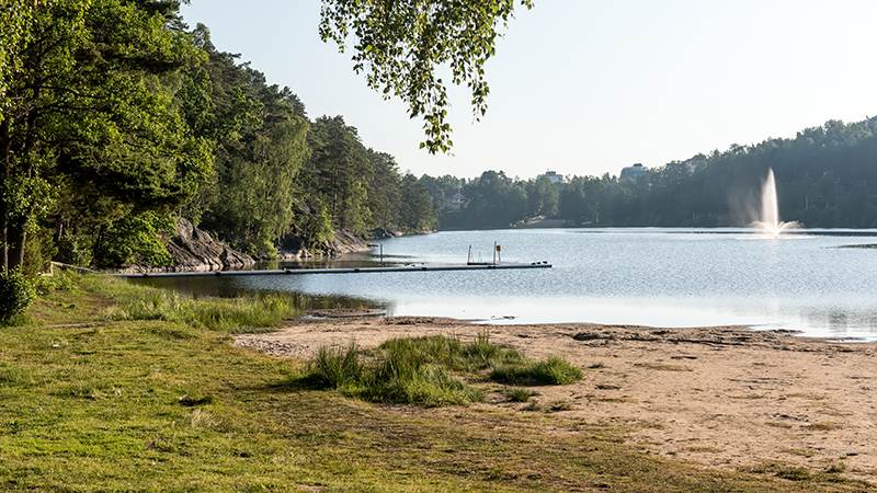 Övre Rudansjöns strand. Solig morgon vid Övre Rudansjöns strand