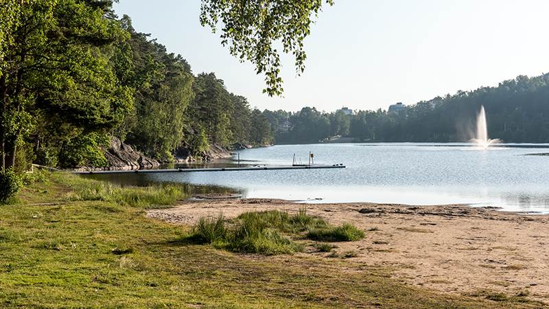 Solig morgon vid Övre Rudansjöns strand