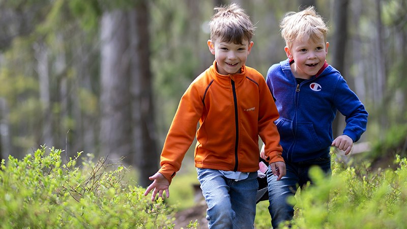 Pojkar vandrar i skogen