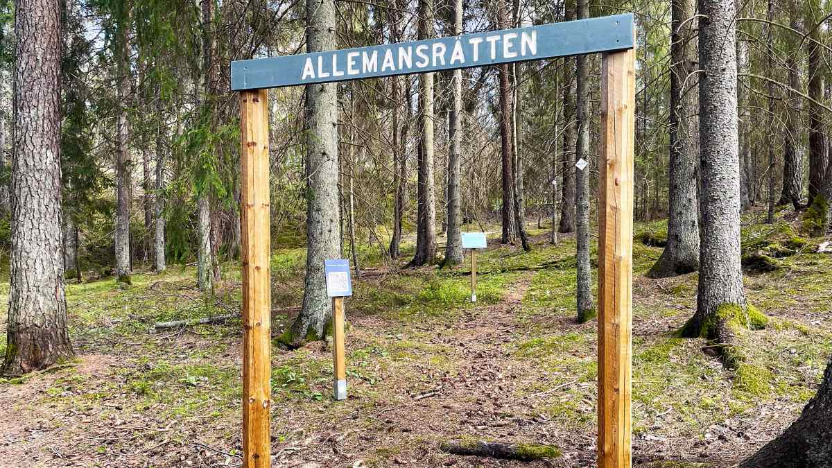 Träport med skylten "Allemansrätten" vid en stig i ett skogsområde.