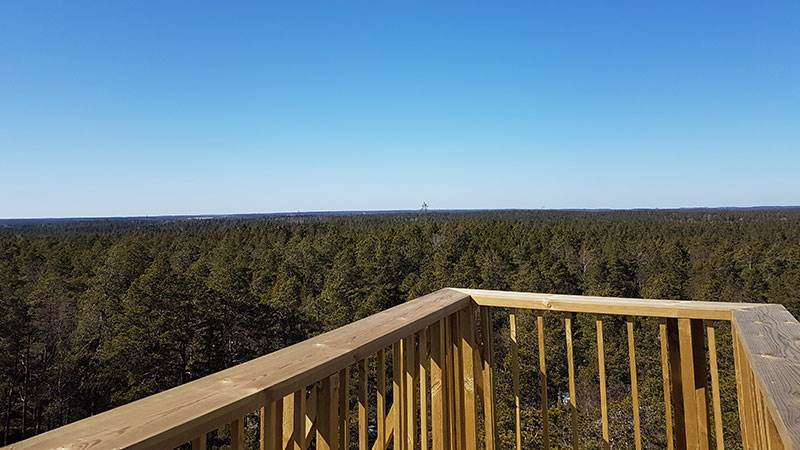 Utsikt från tornet på Tornberget.  Utsikt från tornet milsvidda skogar.