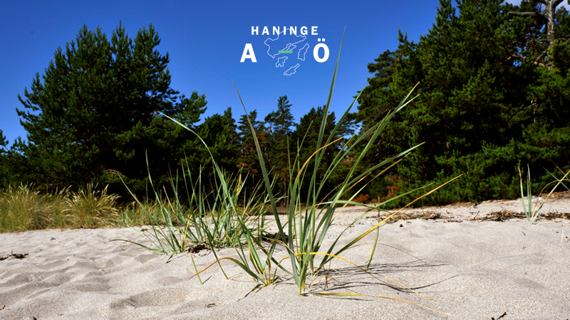 Sandstrand på Nåttarö