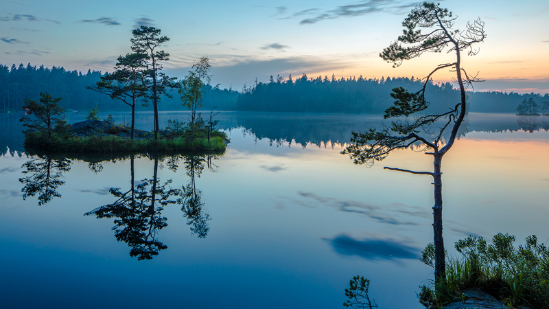 Tyresta nationalpark midsommarnatt