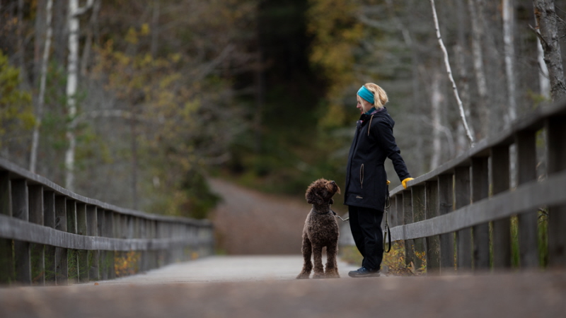 Flicka och hund p&#229; bro i Tyresta