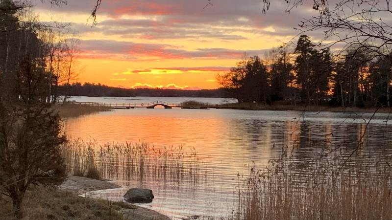Ornö i solnedgång. Ornö i solnedgång